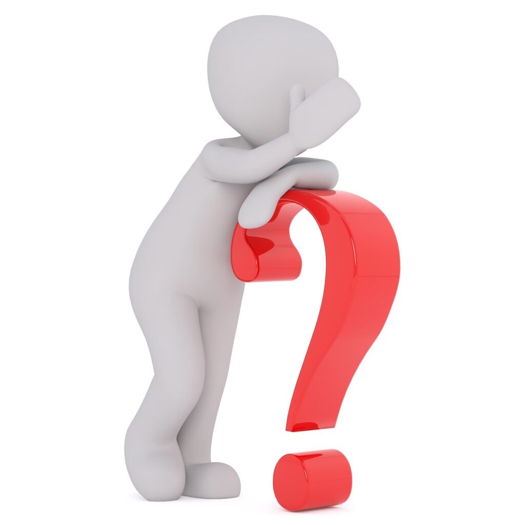 international transportation questions
