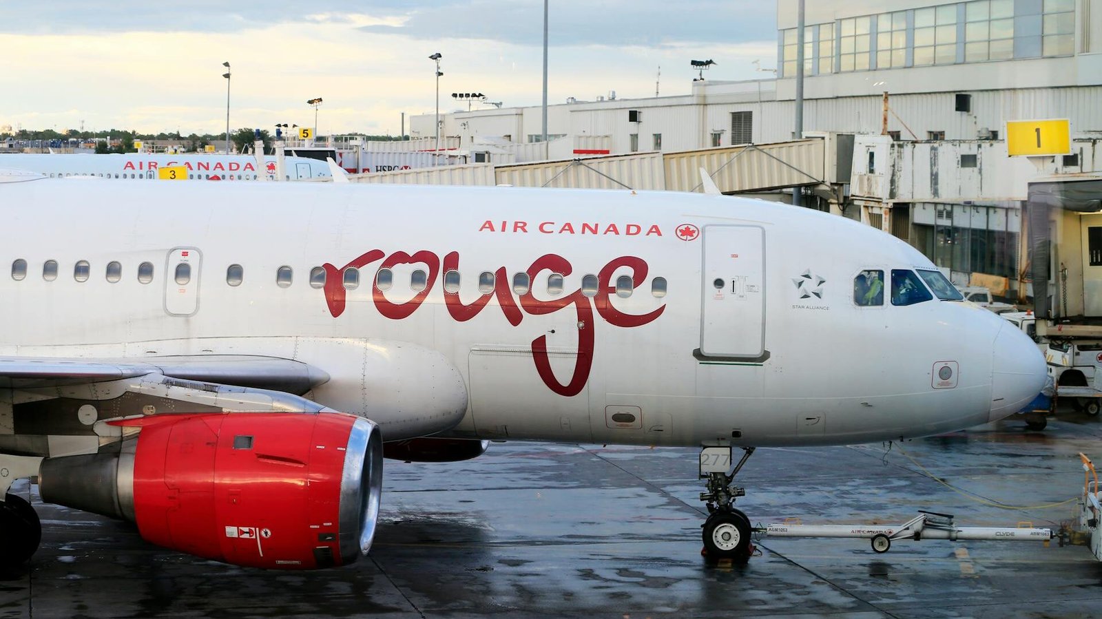 Sensitive Goods Air Freight with DDP: Top 5 Pitfalls to Avoid & Compliance Guide