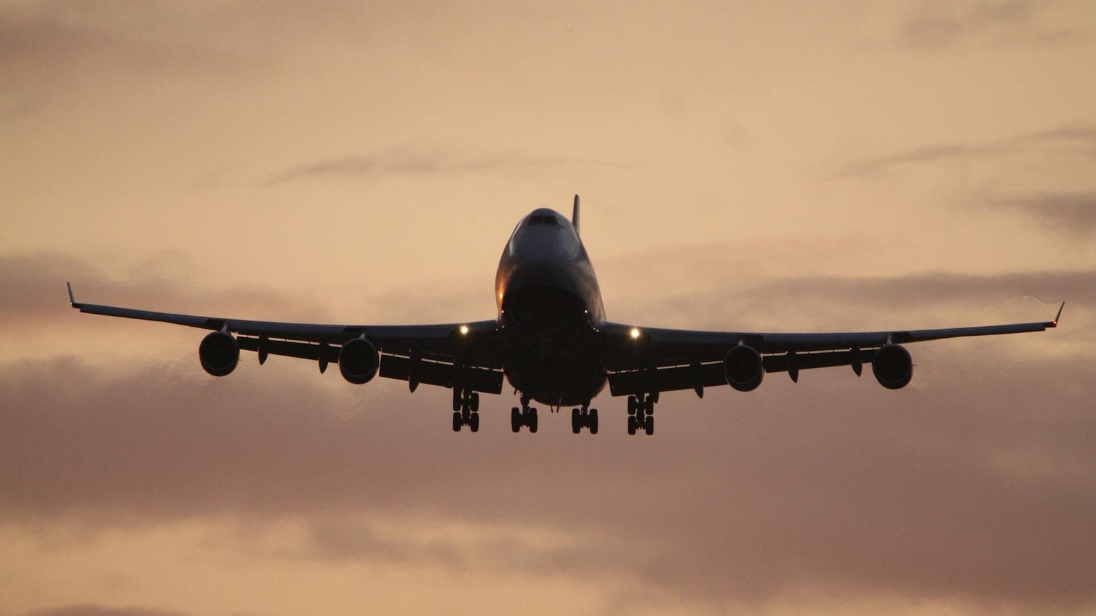 Comprehensive Guide to International Freight Forwarding Services from China to the USA