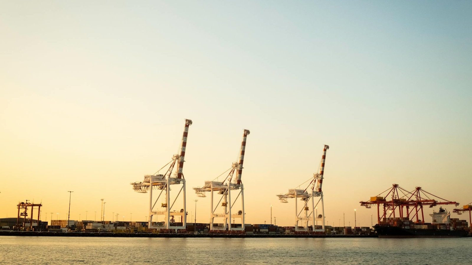 Ocean Cargo: The Ultimate 2025 Guide for International Logistics