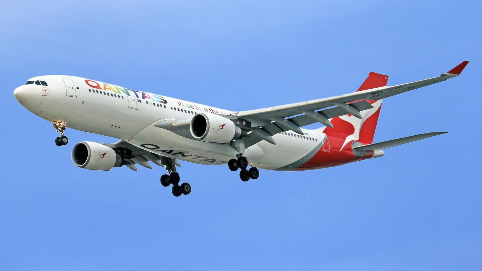 欧美跨境电商茶叶空派运输全解析